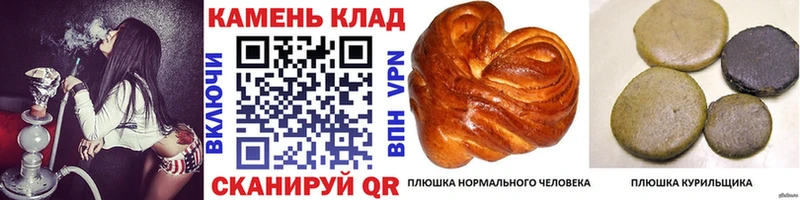 ГАШИШ hashish kraken tor Кологрив сколько стоит