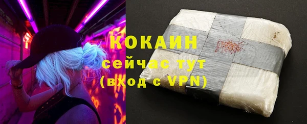 ГАЛЛЮЦИНОГЕННЫЕ ГРИБЫ Аркадак