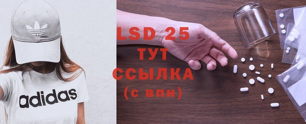 ГАЛЛЮЦИНОГЕННЫЕ ГРИБЫ Аркадак