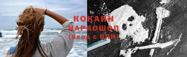 ГАЛЛЮЦИНОГЕННЫЕ ГРИБЫ Аркадак